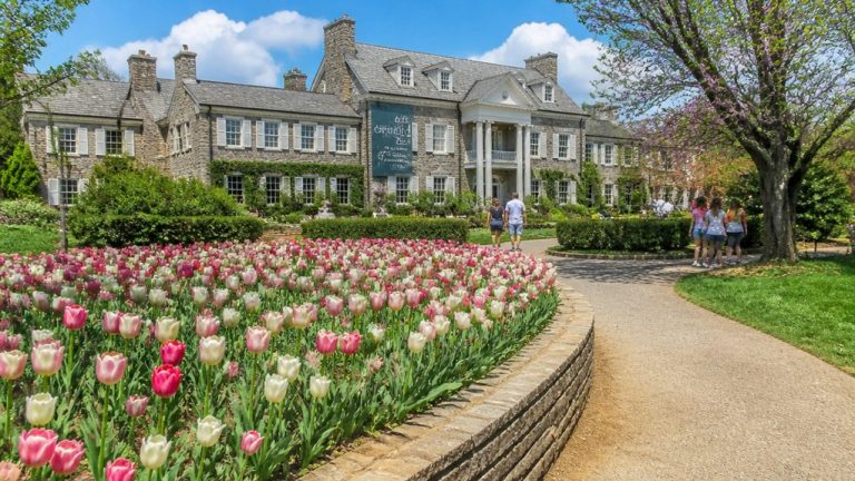 Cheekwood Estate and Gardens Guide