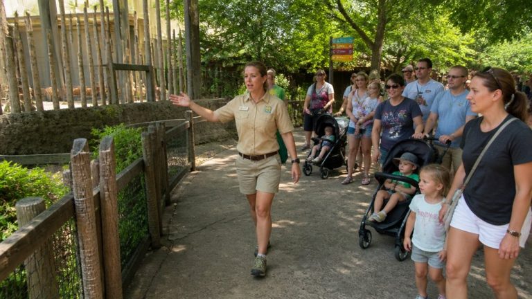 nashville zoo visitor information