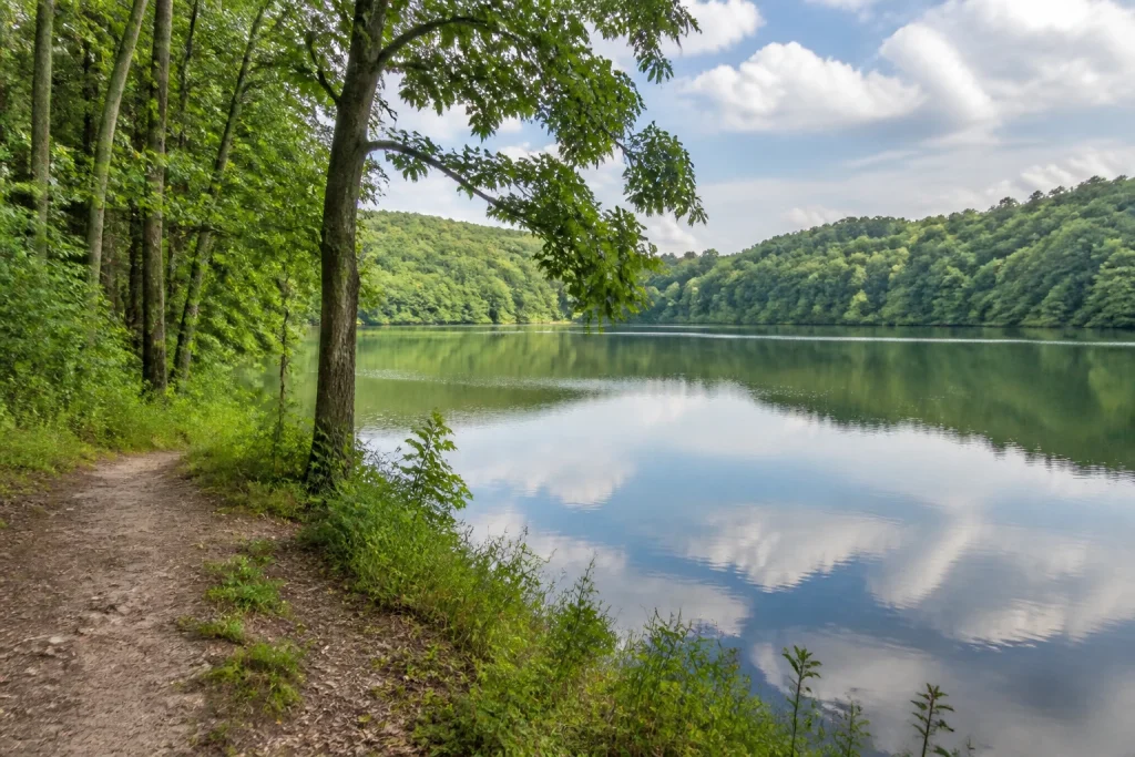 Wooded shoreline at Radnor Lake State Park near Nashville