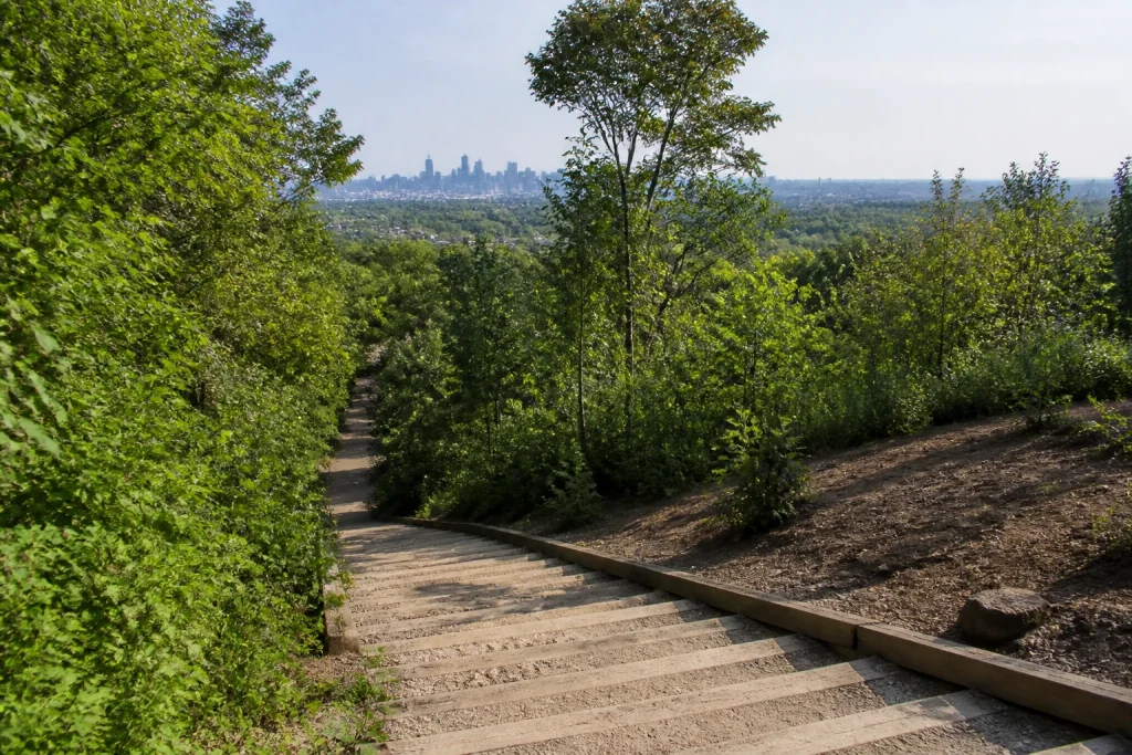 Allée Steps at Percy Warner Park in Nashville